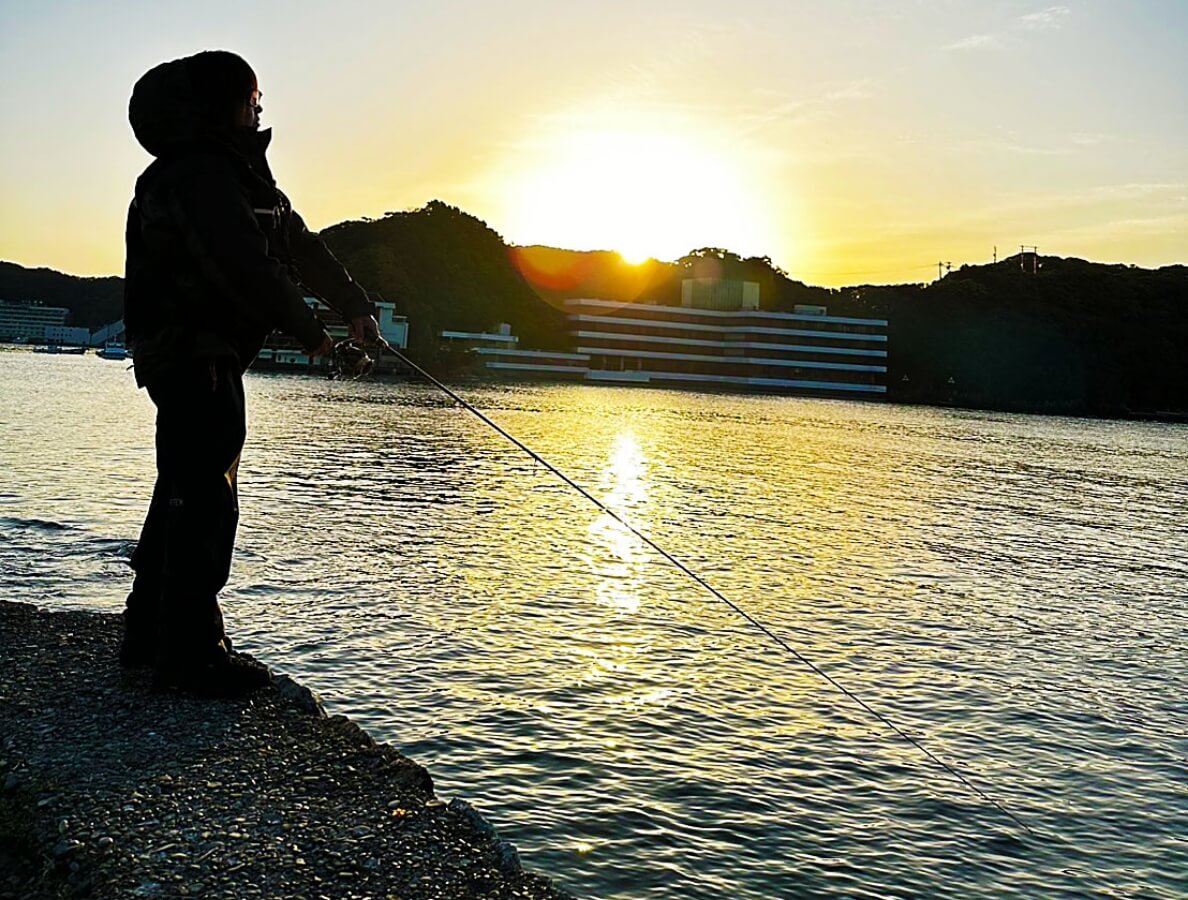 SQUID MANIA Product in use