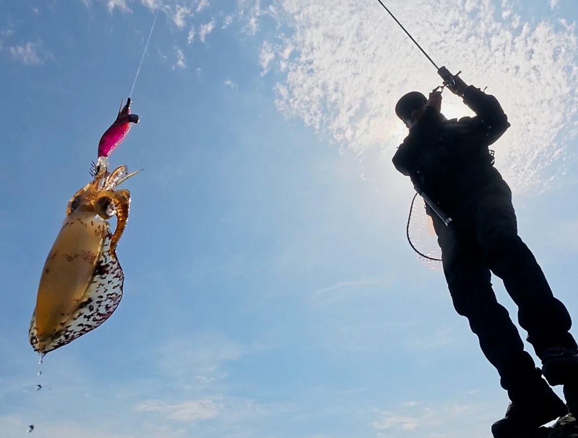 SQUID MANIA Product in use