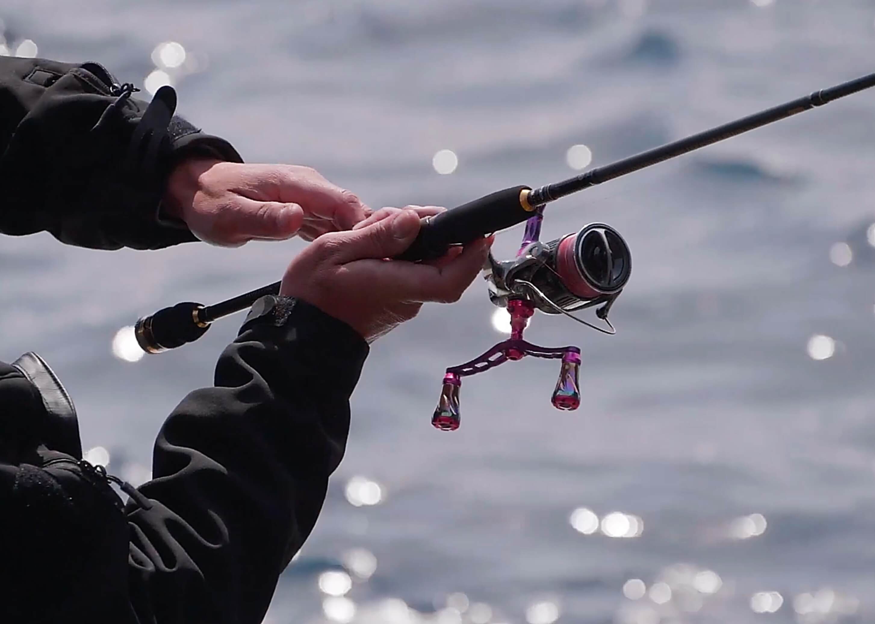 SQUID MANIA Product in use